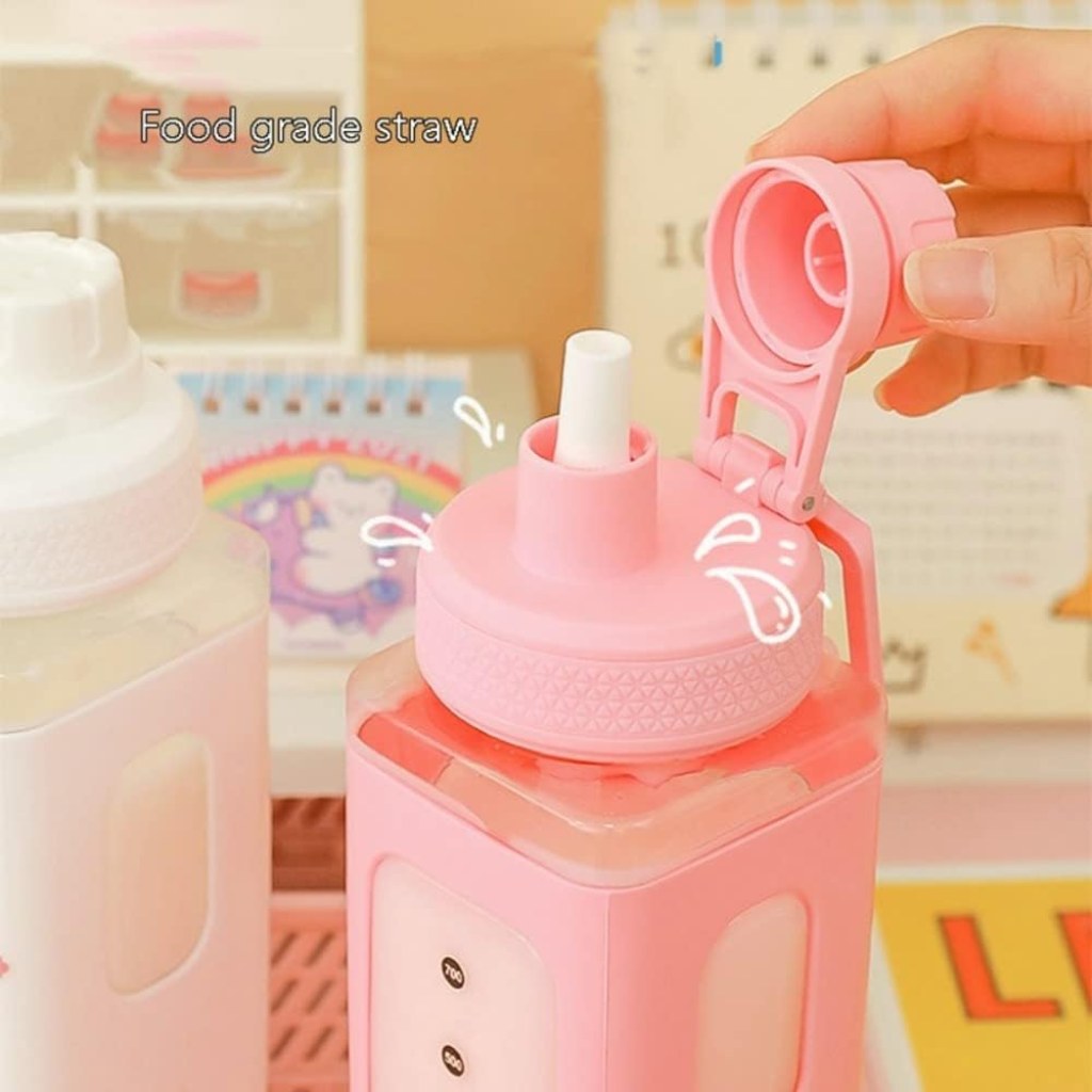 700ml Kawaii Water Bottle with Straw – BPA Free